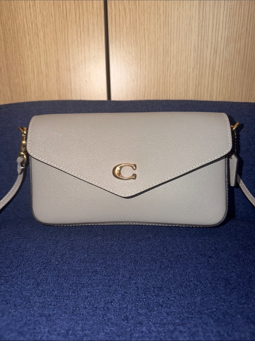 ‼️Coach Grey Leather Wyn Crossbody Bag